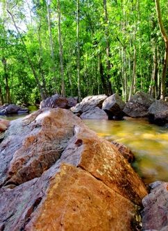 , FireSong Ranch